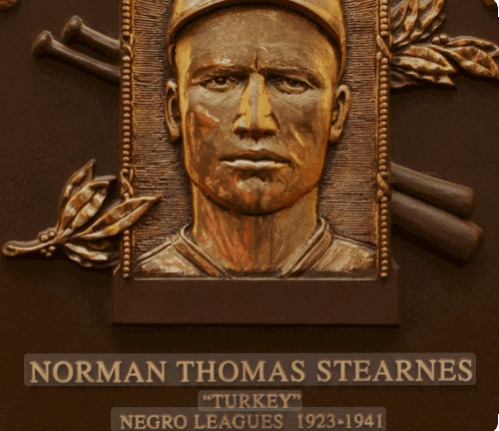 Turkey Stearnes